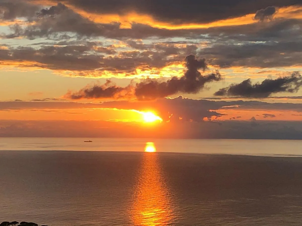 B&B Villa Orchidea Camogli Πανσιόν
